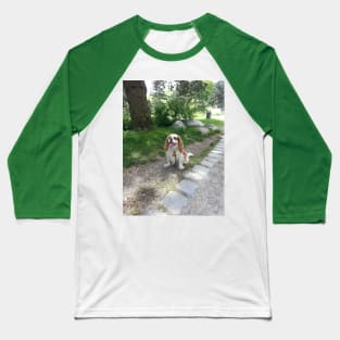 cavalier king charles spaniel blenheim sitting Baseball T-Shirt